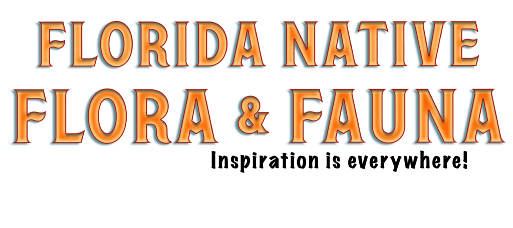 Florida Native Flora and Fauna Doodad Competition 2023