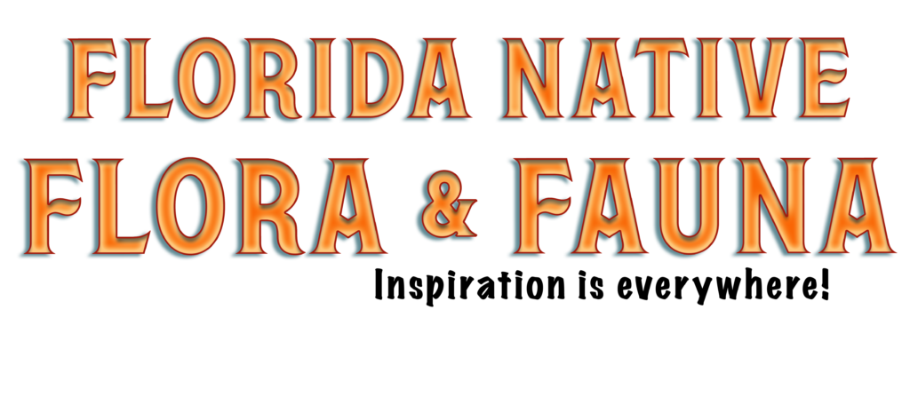 Florida Native Flora and Fauna Doodad Competition 2023