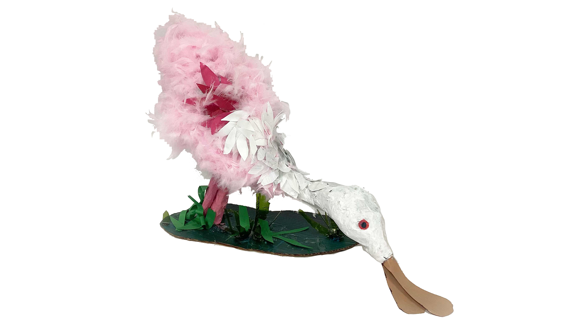 2nd place 6-8 </p>
<p>ROSEATE SPOONBILL IN NATURE</p>
<p>Cassidy Collins, Pearl Adewopo</p>
<p>Teacher: Jill Maxwell Winthrop Charter School<br />

